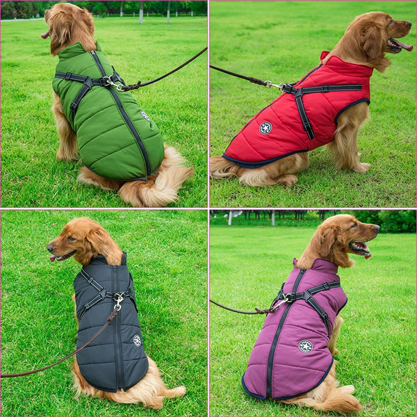 Waterproof Harness Jacket