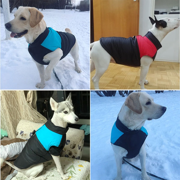 Waterproof Pet Jacket