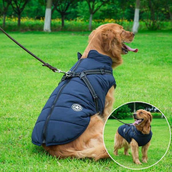 Waterproof Harness Jacket