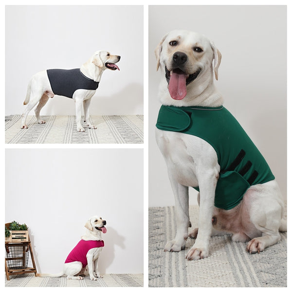 Anti-Anxiety Pet Vest